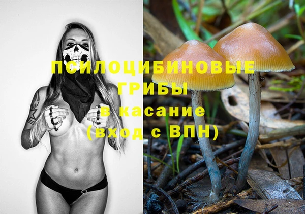 шишки Бронницы