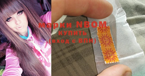 шишки Бронницы