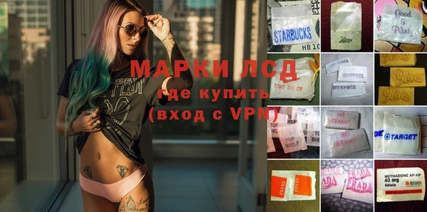 шишки Бронницы