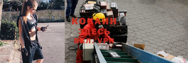шишки Бронницы