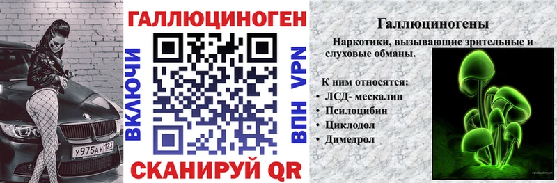 купить наркотики цена  Вилючинск  mega ТОР  Псилоцибиновые грибы GOLDEN TEACHER 